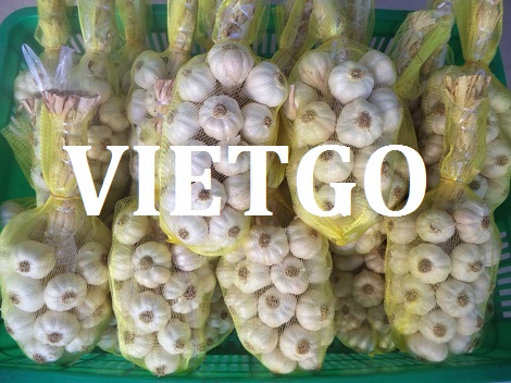Tỏi tươi Vietgo