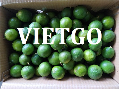 Chanh tươi Vietgo Chanh tươi Vietgo