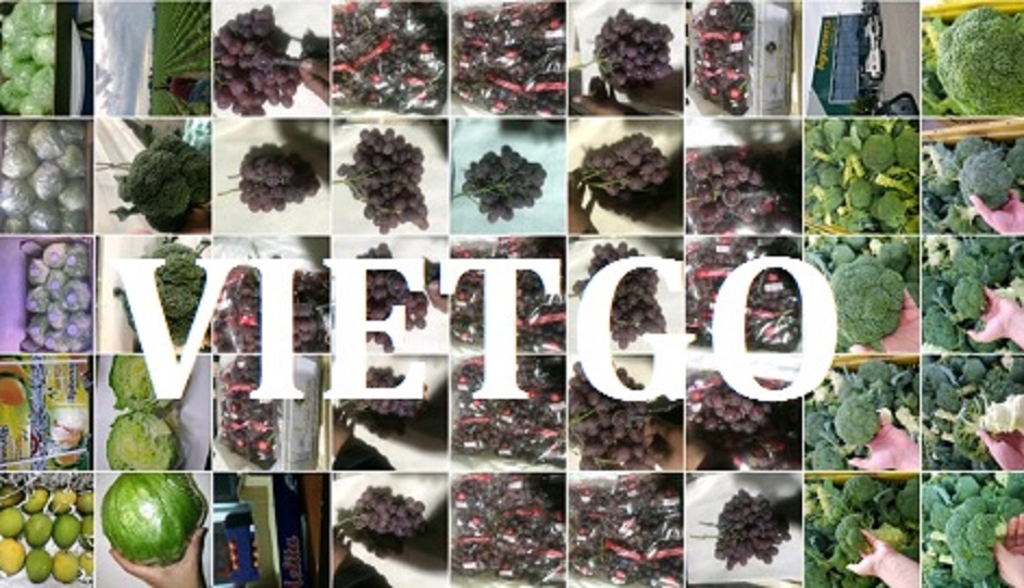 Chanh tươi Vietgo Chanh tươi Vietgo