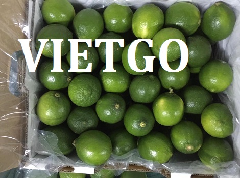 Chanh tươi Vietgo Chanh tươi Vietgo