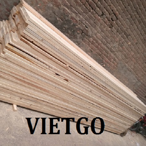 anwar-vietgo-thongxe