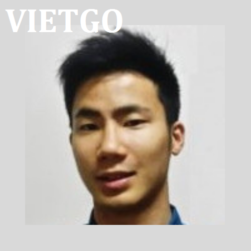 aovietgo110319