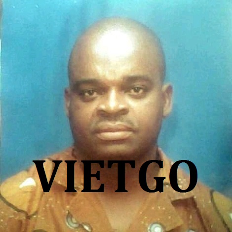 GẠO TRẮNG HẠT DÀI VIETGO GẠO TRẮNG HẠT DÀI VIETGO