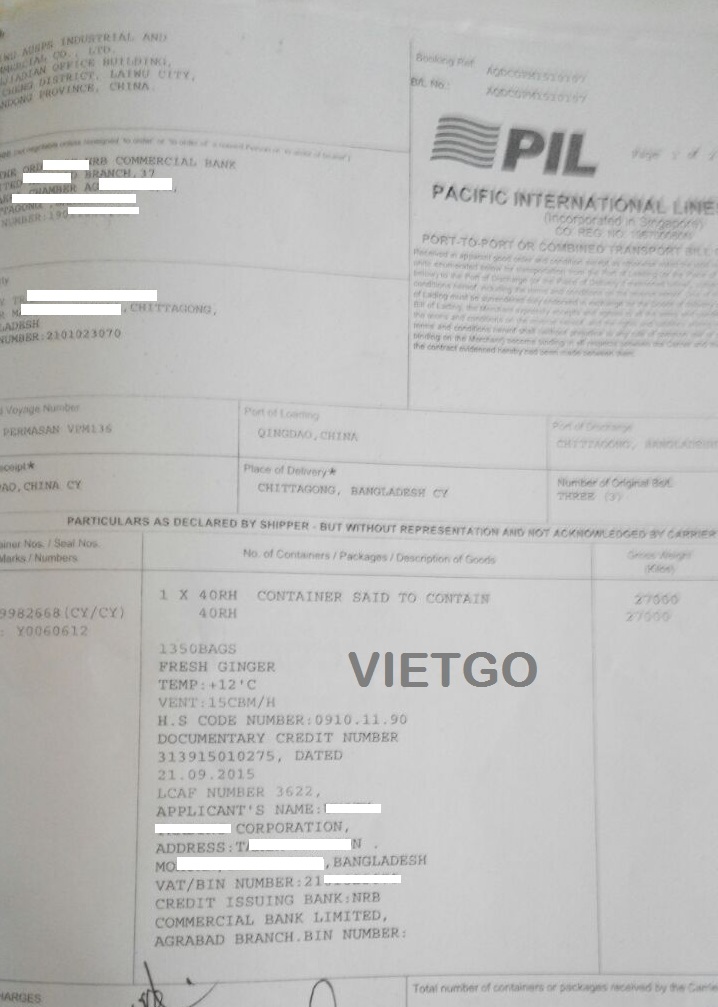 tỏi việt nam
