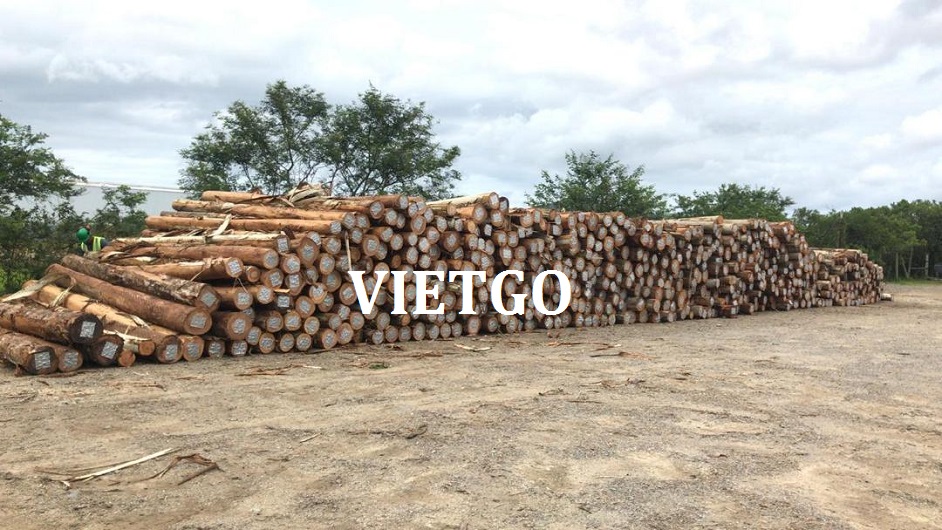 go-bach-dan-tron-vietgo-vietnam
