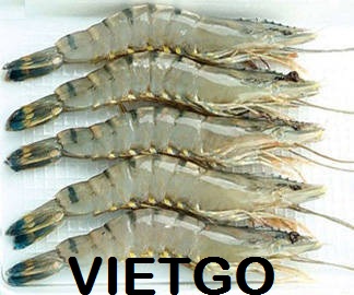 cá basa