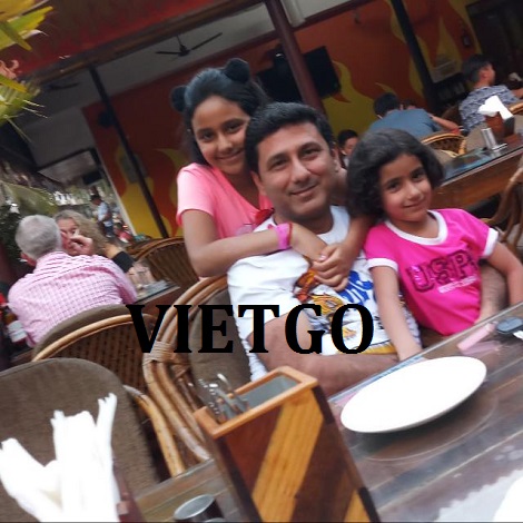 go-dan-xuat-khau-vietgo go-dan-xuat-khau-vietgo