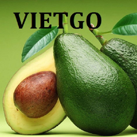 bo-vietgo-asanka