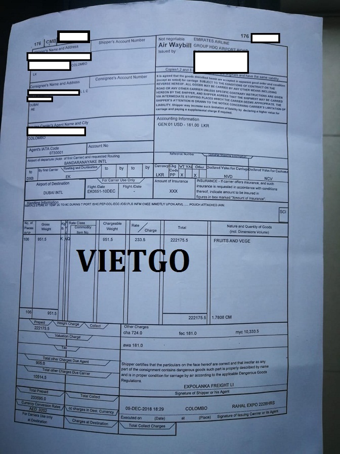 bo-vietgo-asanka