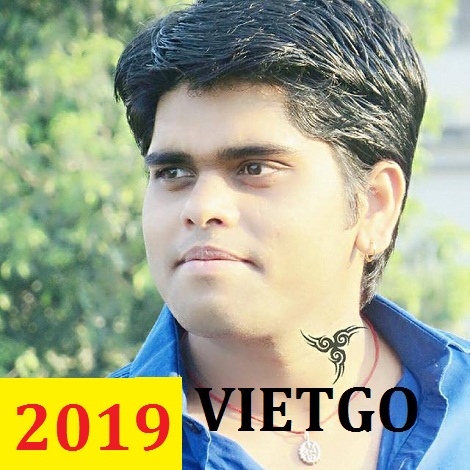 bot-mi-vietgo2