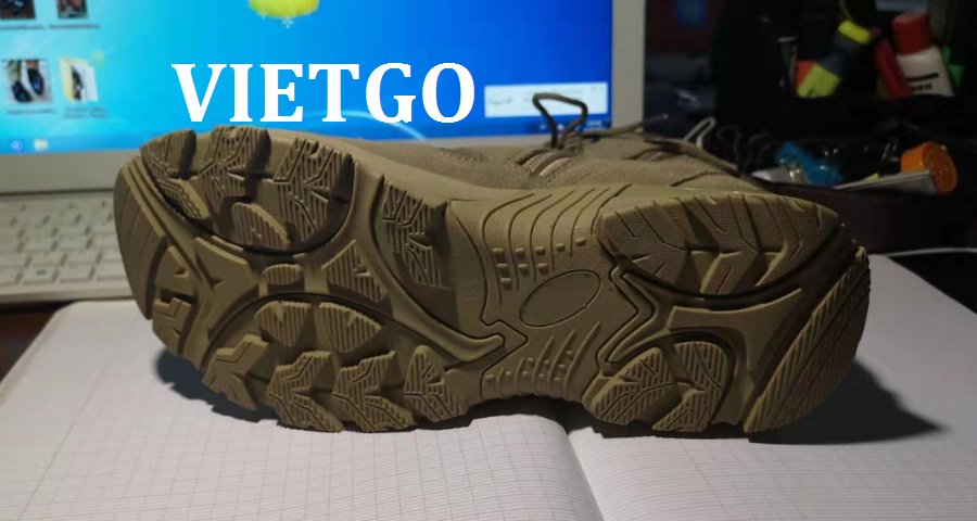 botquandoivietgo110319