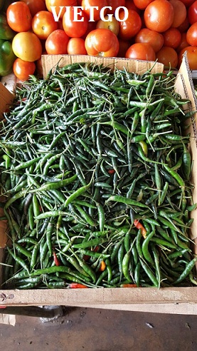 ớt việt nam
