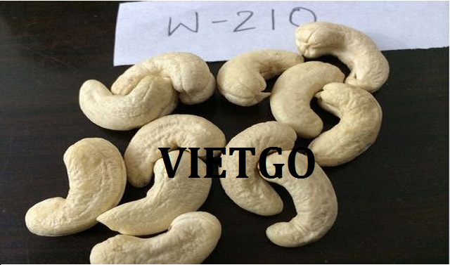 VIETGO-xuat-khau-hat-dieu-Iran