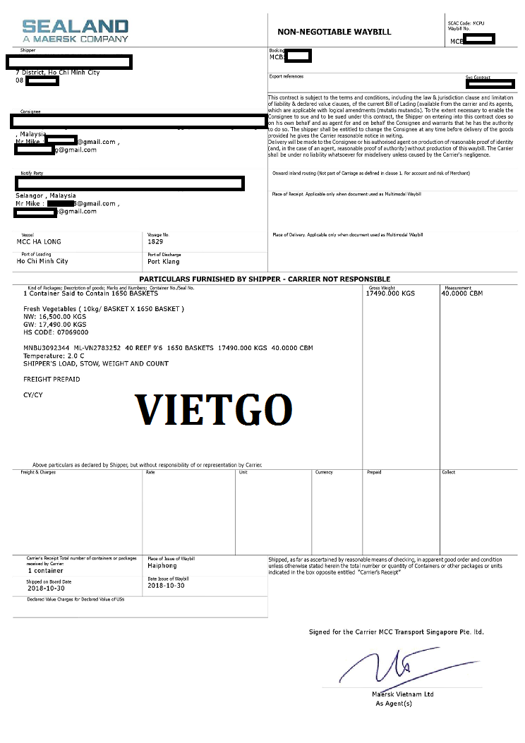 ca-chua-vietgo-alec ca-chua-vietgo-alec