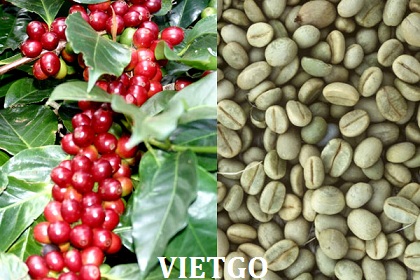 cà phê việt nam