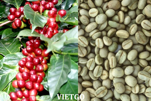 cà phê việt nam 