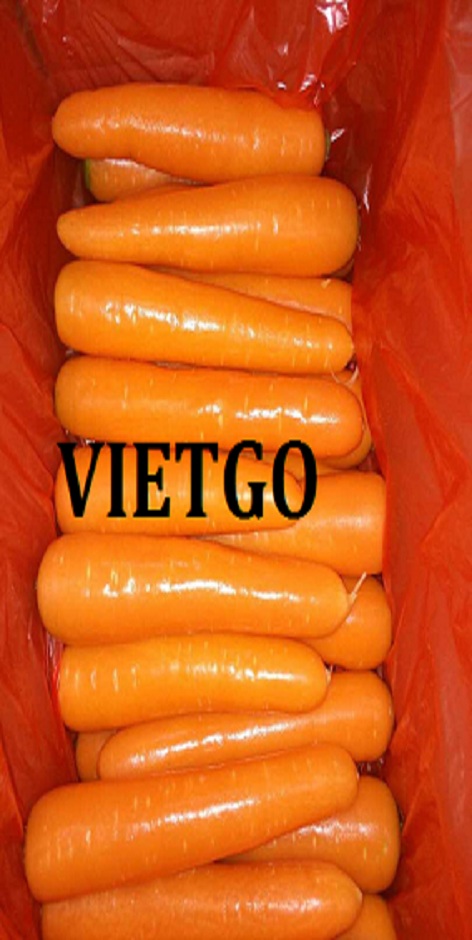 ca-rot-vietgo-alec
