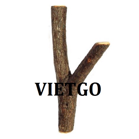 xuat-khau-canh-go-vietgo