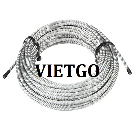 cap-day-thep-VIETGO2208