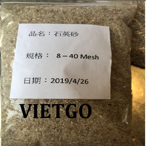 Cat-VIETGO Cat-VIETGO