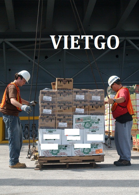 cat-silic-VIETGO19021