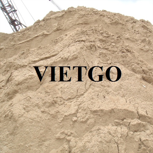 cat-song-VIETGO230207