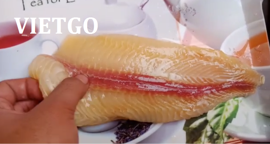 cavietgo040319