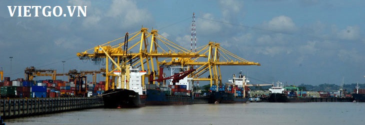 xuất khẩu tỏi