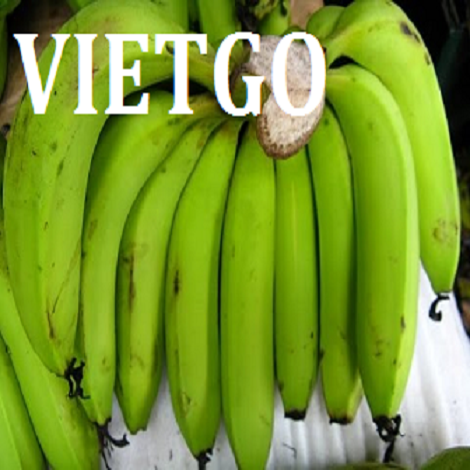chuoi-tieu-vietgo-ossama