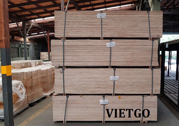 coc-go-vietgo-vietnam-lee