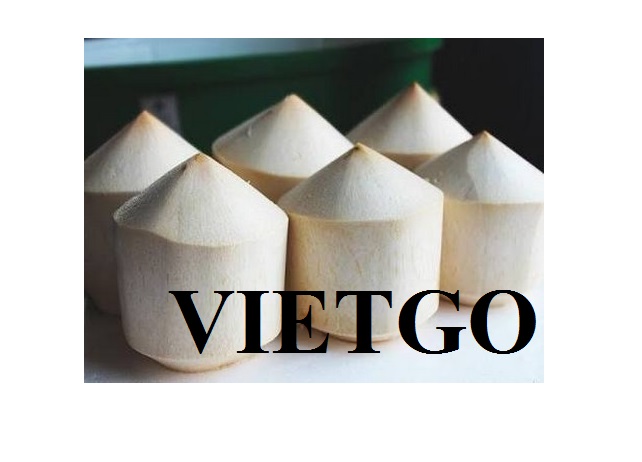 Vietgo-dua-tuoi-lat-xuat-khau-Hong-Kong