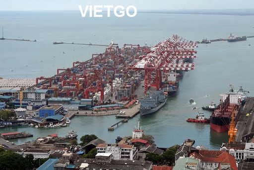 hạt điều việt nam