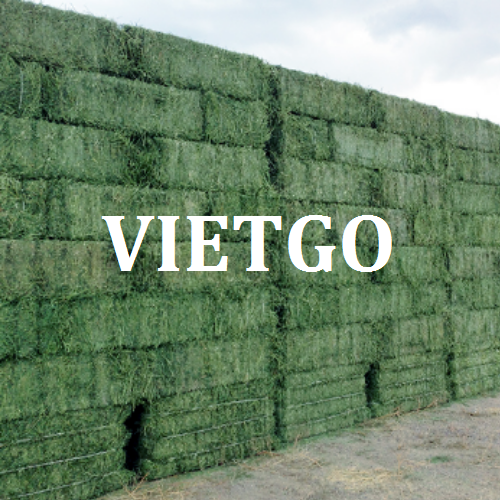 coromvietgo040319 coromvietgo040319