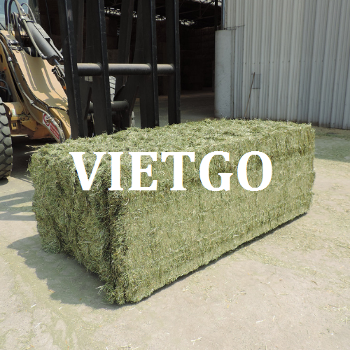 coromvietgo040319 coromvietgo040319