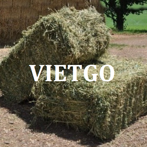 coromvietgo150319