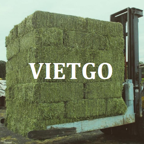 coromvietgo150319