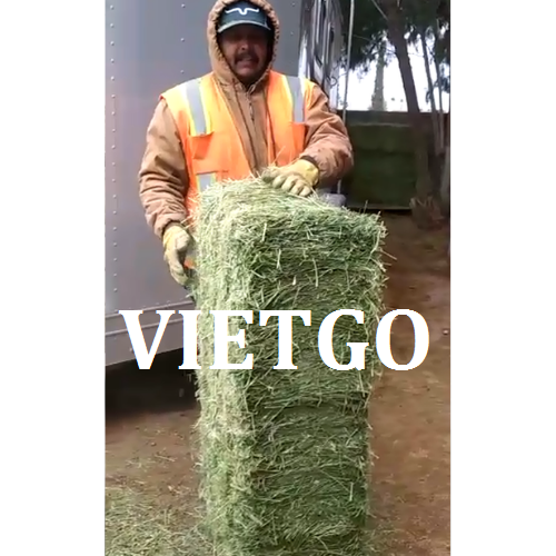 coromvietgo210219