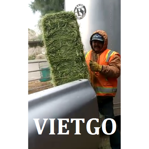 coromvietgo210219