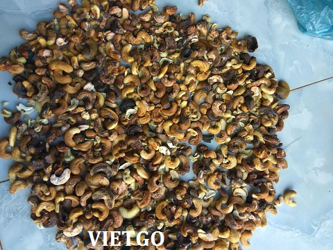 hạt điều việt nam
