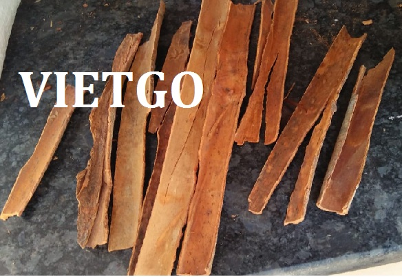 VIETGO-xuat-khau-hoa hoi-que-dinh huong-An Do VIETGO-xuat-khau-hoa hoi-que-dinh huong-An Do