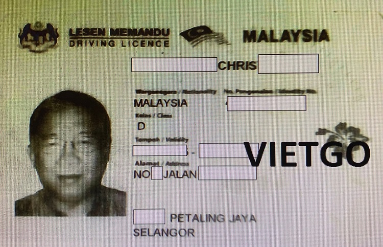 Ván bóc gỗ bạch đàn Vietgo