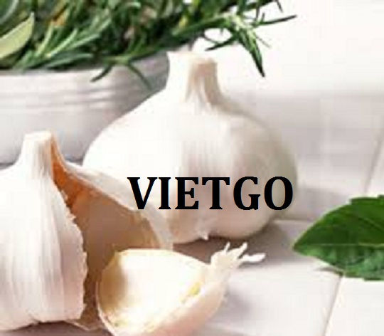 VIETGO-xuat-khau-tỏi-Togo VIETGO-xuat-khau-tỏi-Togo