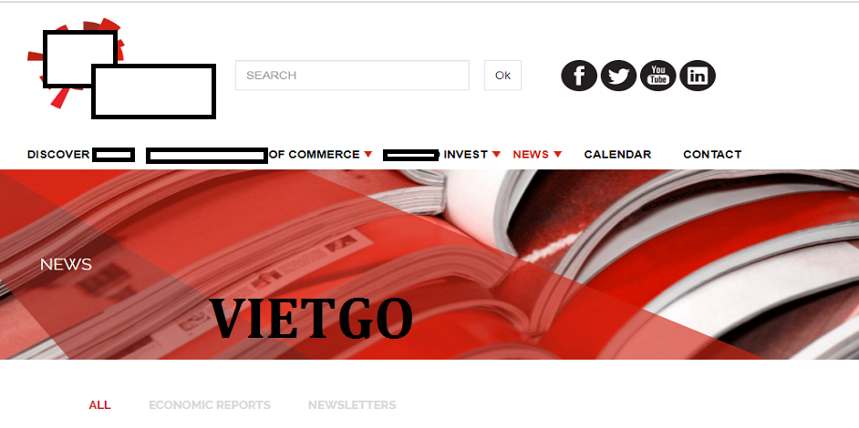 dau-vietgo-mauro