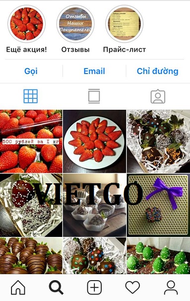 dau-tay-vietgo-pavel dau-tay-vietgo-pavel