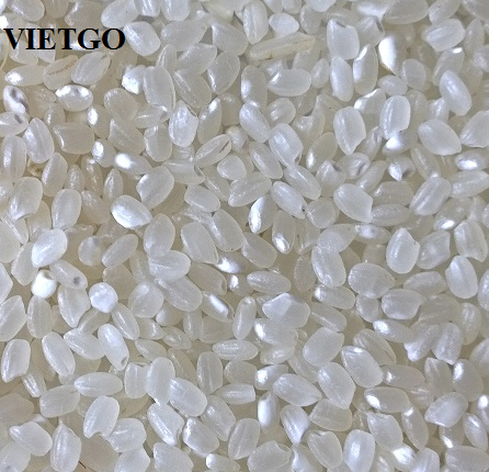 gạo