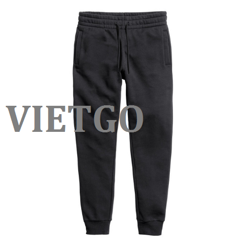 detmay-vietgo-110219 