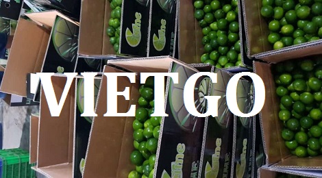 Chanh tươi Vietgo Chanh tươi Vietgo