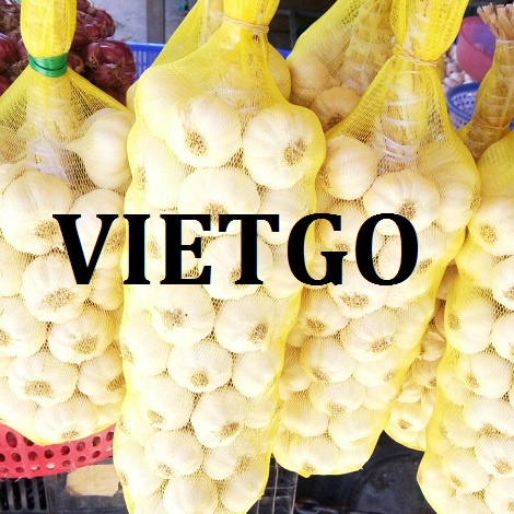 Tỏi tươi Vietgo