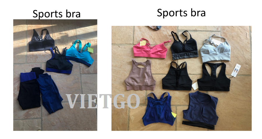 dothethao-vietgo-020119