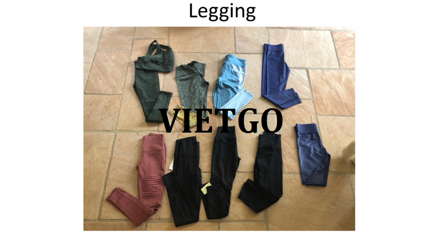 dothethao-vietgo-020119